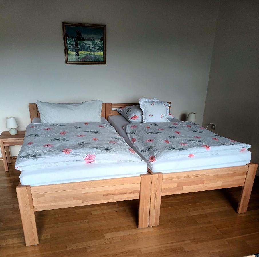 Buedingen-Ferienwohnung Bausch Exteriör bild